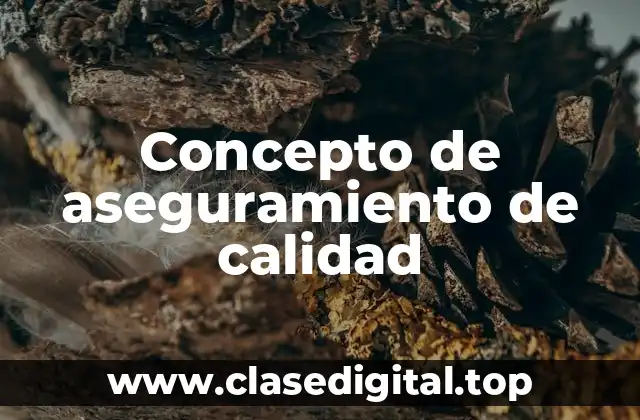 Concepto de aseguramiento de calidad