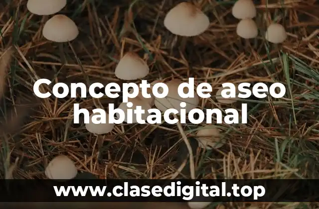Concepto de aseo habitacional