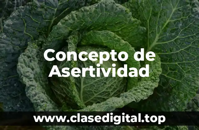 Concepto de Asertividad