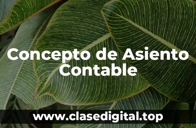 Concepto de Asiento Contable