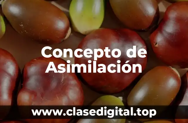 Concepto de Asimilación