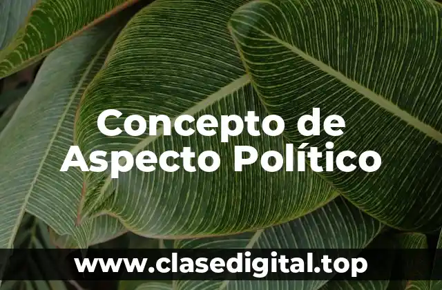 Concepto de Aspecto Político