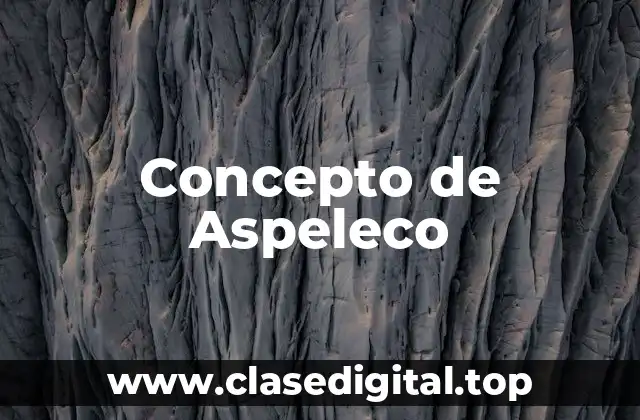 Concepto de Aspeleco