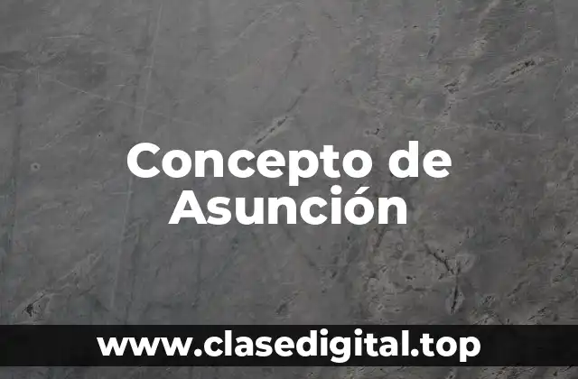 Concepto de Asunción
