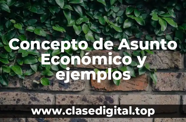 Concepto de Asunto Económico y ejemplos