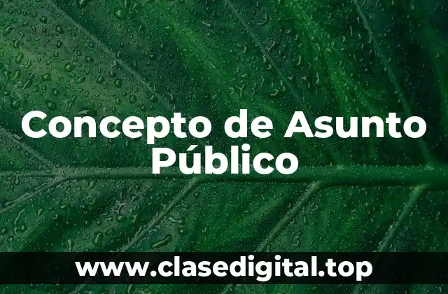 Concepto de Asunto Público