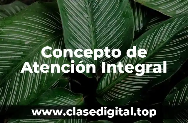 Concepto de Atención Integral