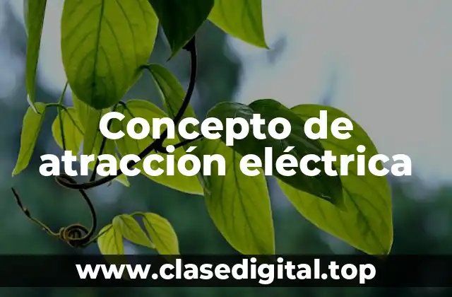 Concepto de atracción eléctrica