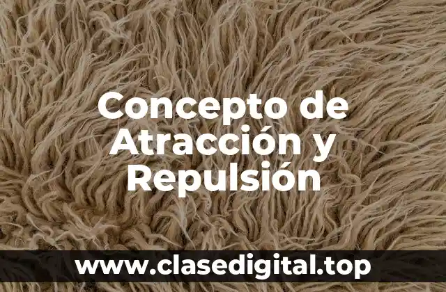 Concepto de Atracción y Repulsión