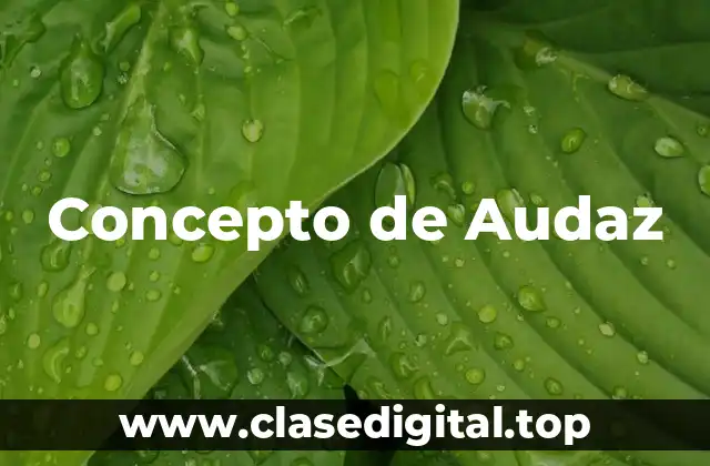 Concepto de Audaz