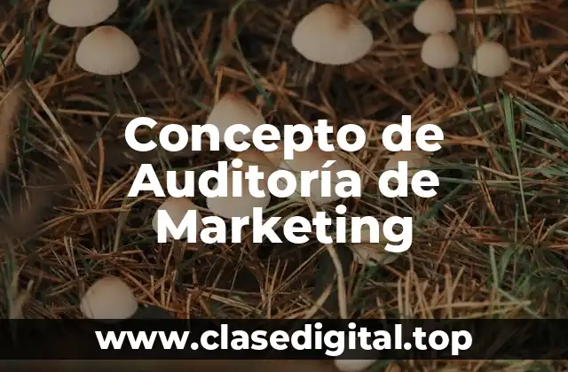 Concepto de Auditoría de Marketing
