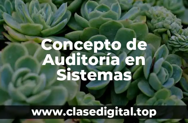 Concepto de Auditoría en Sistemas