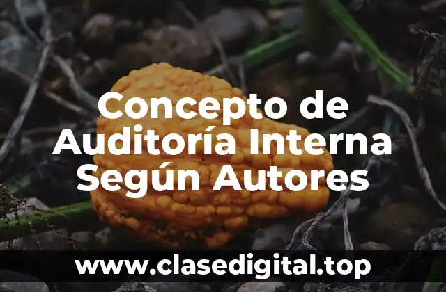 Concepto de Auditoría Interna Según Autores