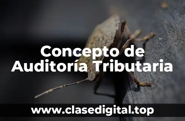 Concepto de Auditoría Tributaria