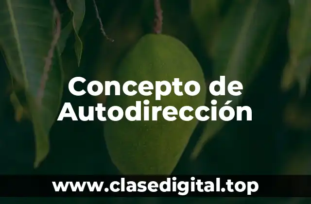 Concepto de Autodirección