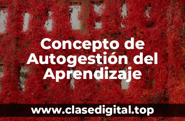 Concepto de Autogestión del Aprendizaje