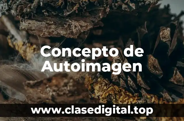 Concepto de Autoimagen