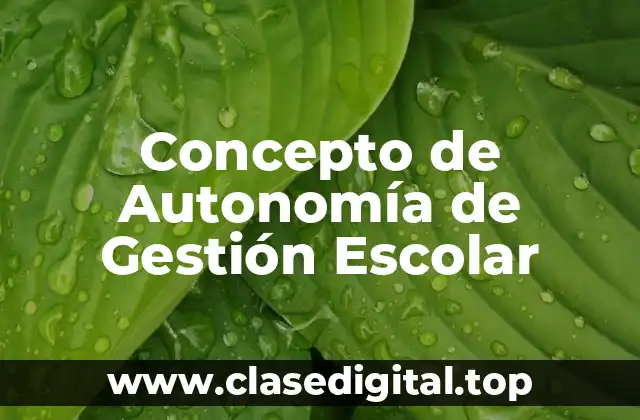 Concepto de Autonomía de Gestión Escolar