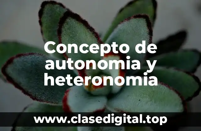 Concepto de autonomia y heteronomia