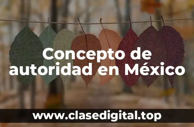 Concepto de autoridad en México