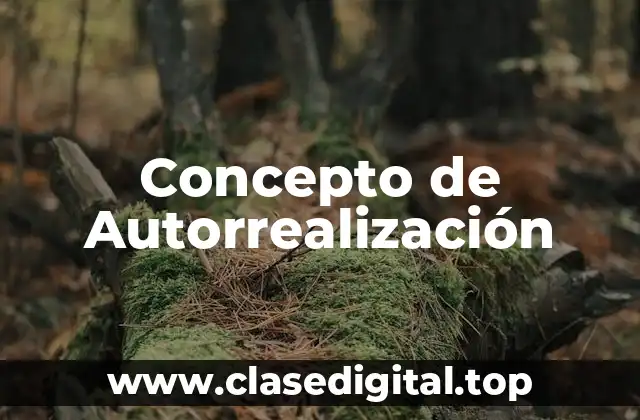 Concepto de Autorrealización