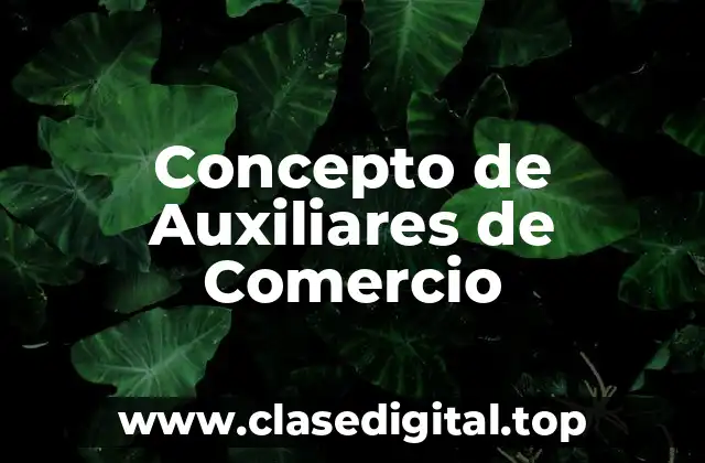 Concepto de Auxiliares de Comercio