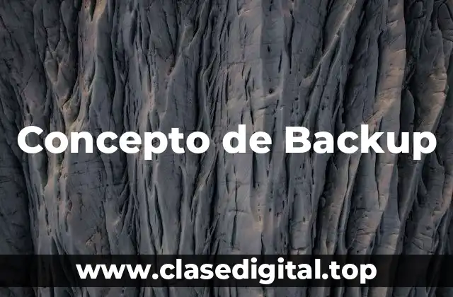 Concepto de Backup