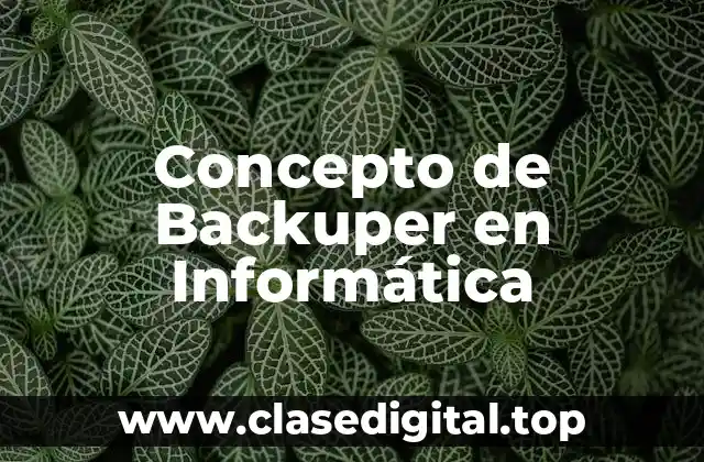 Concepto de Backuper en Informática