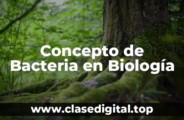 Concepto de Bacteria en Biología