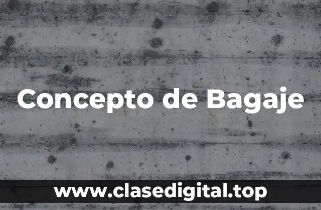 Concepto de Bagaje