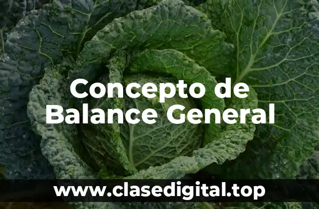 Concepto de Balance General