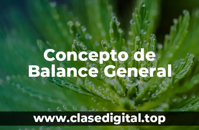 📗 ¿Qué es el Balance General?