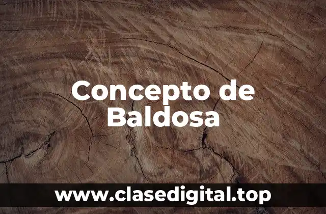 📗 Concepto de Baldosa