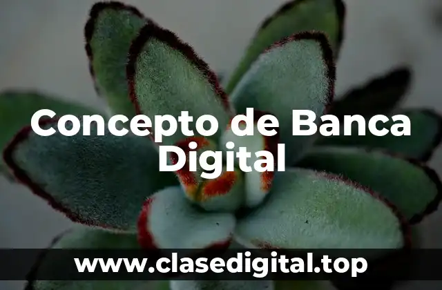 Concepto de Banca Digital
