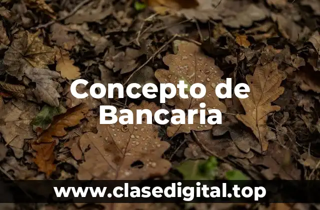 📗 Concepto de Bancaria
