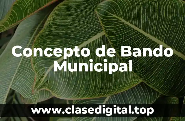 Concepto de Bando Municipal