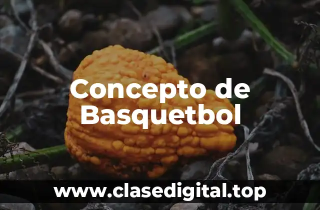 Concepto de Basquetbol