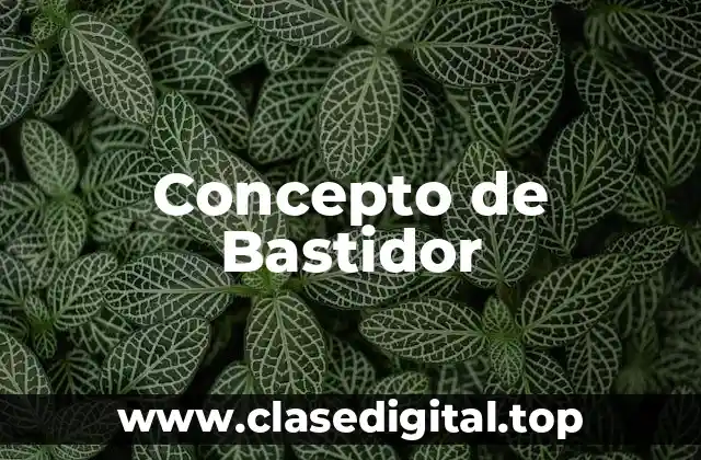 Concepto de Bastidor