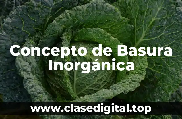 Concepto de Basura Inorgánica