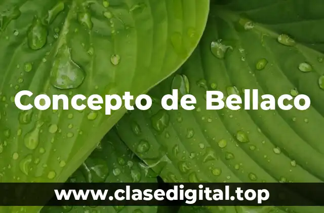 Concepto de Bellaco