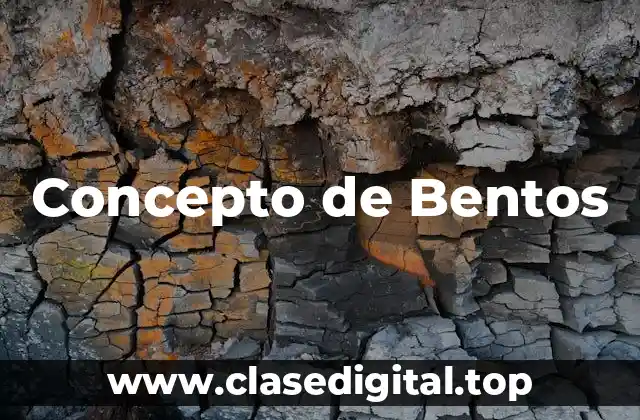 Concepto de Bentos