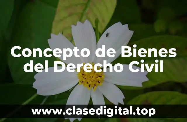 📗 Concepto de bienes derecho civil