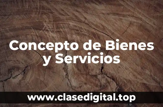 Concepto de Bienes y Servicios