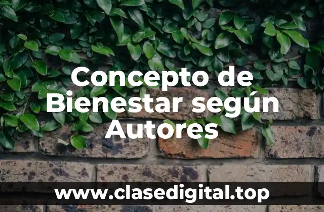 Concepto de Bienestar según Autores