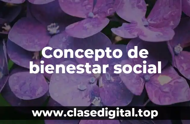 📗 Concepto de bienestar social
