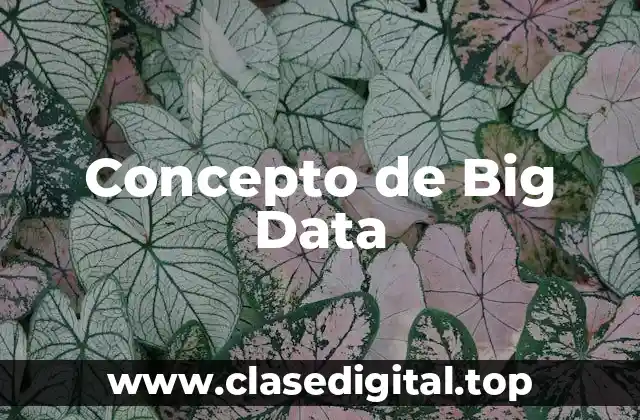 Concepto de Big Data