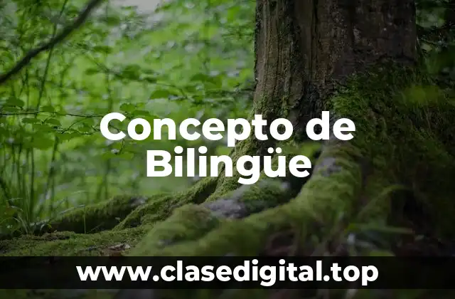 Concepto de Bilingüe