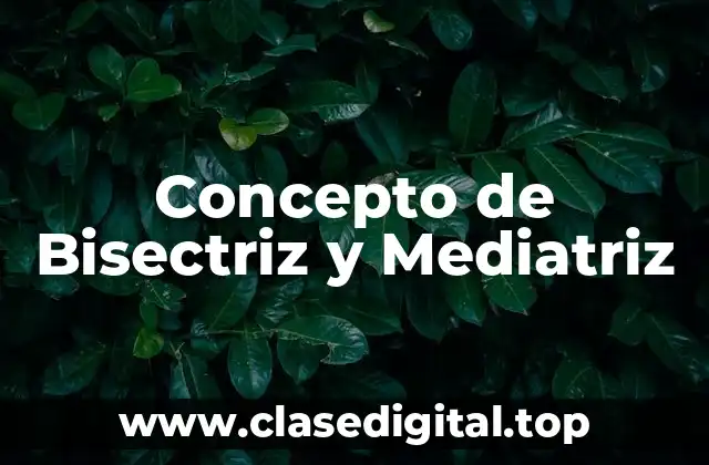 📗 Concepto de Bisectriz