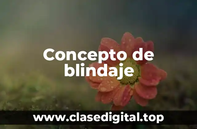 Concepto de blindaje