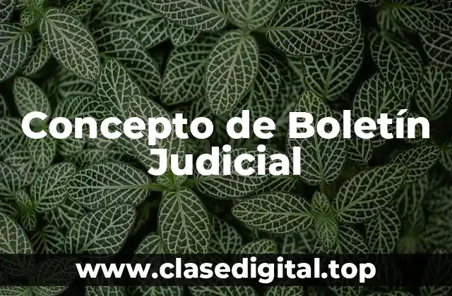 Concepto de Boletín Judicial